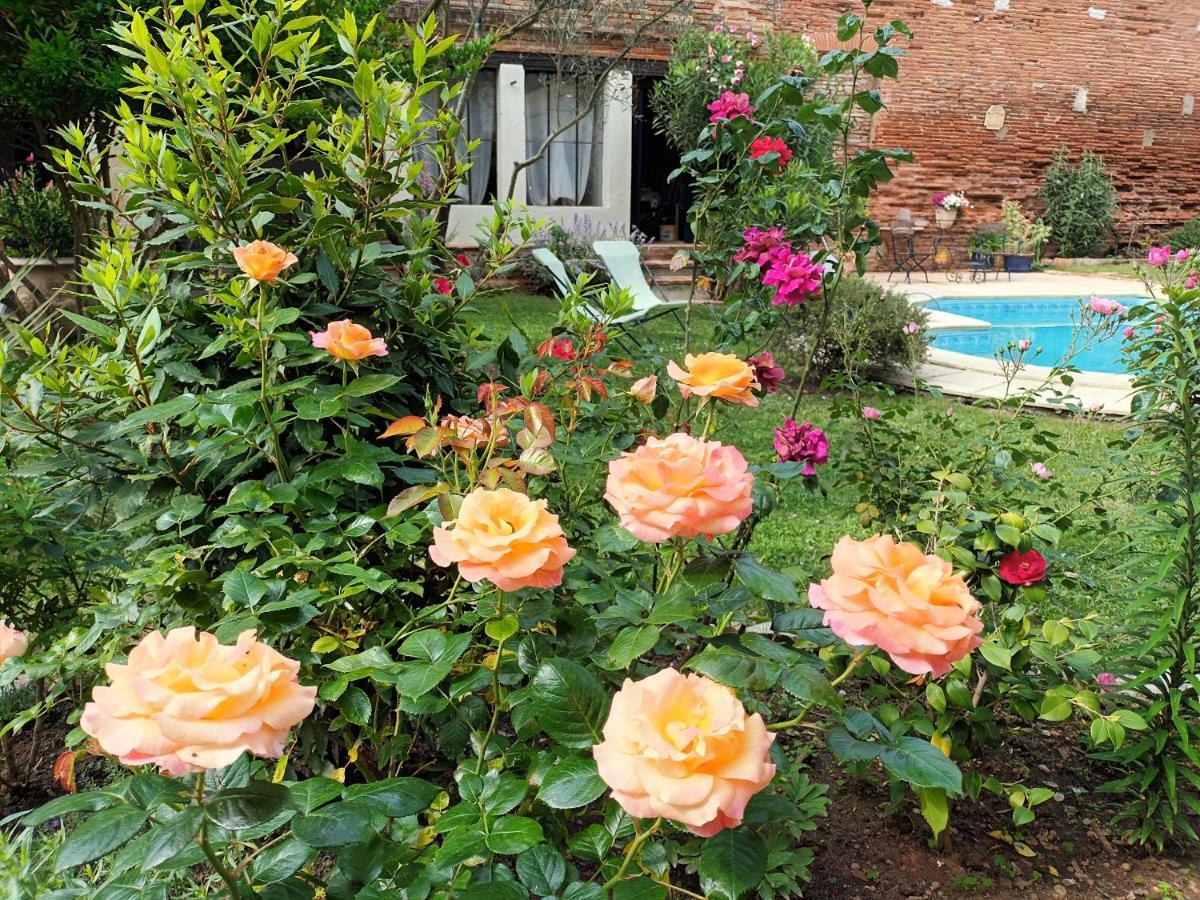 L'Arche De Moissac Bed and Breakfast Εξωτερικό φωτογραφία